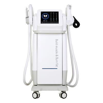 Harga yang bagus 13Tesla Elektronik Otot merangsang lemak membakar mesin patung tubuh on line