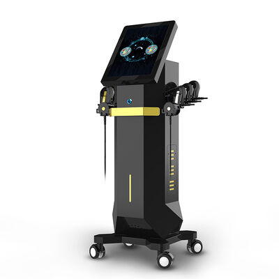 Harga yang bagus Vertical Facial Massager 6 Handle RET FACE EMS Mesin Stimulator Otot on line