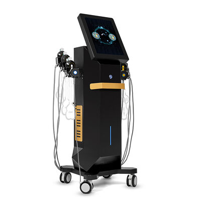 Harga yang bagus 6 IN 1 stimulasi elektromagnetik EMS RF wajah patung EMRF Mesin on line