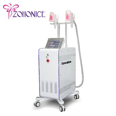 Harga yang bagus 2 Changeable Handle Cryolipolysis Slimming Machine With Antifreezing Membrance on line