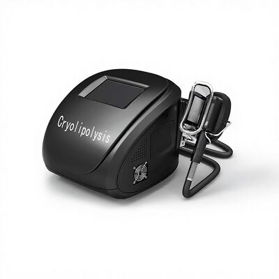 Harga yang bagus Portable Body Sculpting Cryolipolysis Slimming And Weight Loss Machine on line