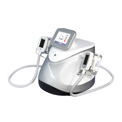 Harga yang bagus Dual Handle Fat Freezing Selulit Mesin Berat Badan CR02 110v / 220v on line