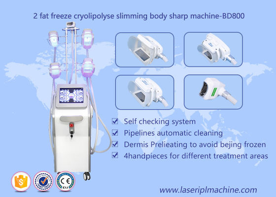 Harga yang bagus Bentuk Mesin Pelangsing Tubuh Cryolipolysis, Peralatan Kecantikan Lipo Cryo Cryolipolysis on line