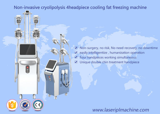 Harga yang bagus Cryolipolysis Pembekuan Lemak Mesin Pelangsing Vacuum Cavitation Rf Machine on line