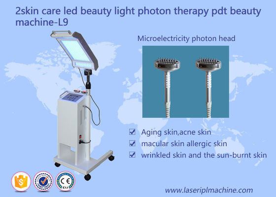 Harga yang bagus 10HZ 415mm Perawatan Kulit Lifting Wajah PDT LED Beauty Light Therapy Machine on line