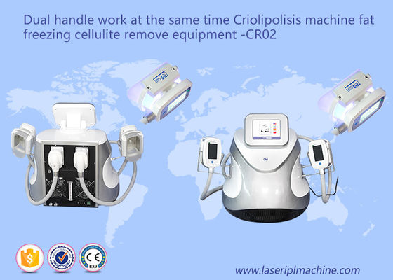 Harga yang bagus Dual Handle Fat Freezing Selulit Mesin Berat Badan CR02 110v / 220v on line