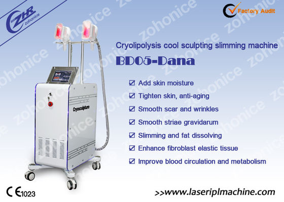 Harga yang bagus 2 Changeable Handle Cryolipolysis Slimming Machine With Antifreezing Membrance on line