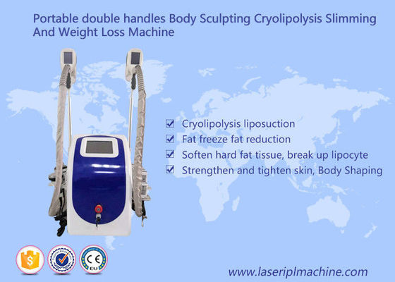 Harga yang bagus Cryolipolysis Slimming Machine Sculpting Body Style Portable Mesin Berat Badan on line